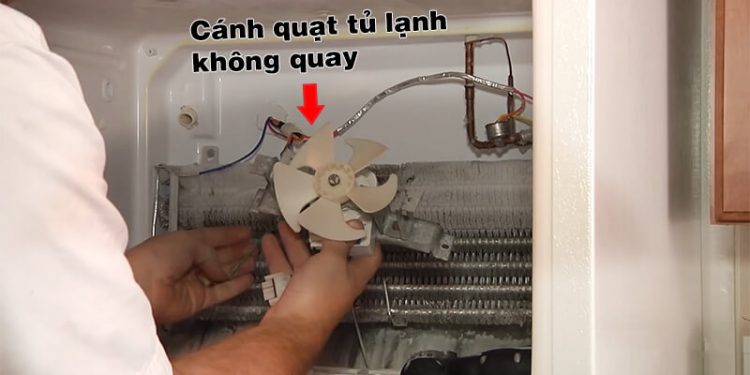 canh quat tu lanh khong chay