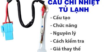 cau chi nhiet tu lanh la gi