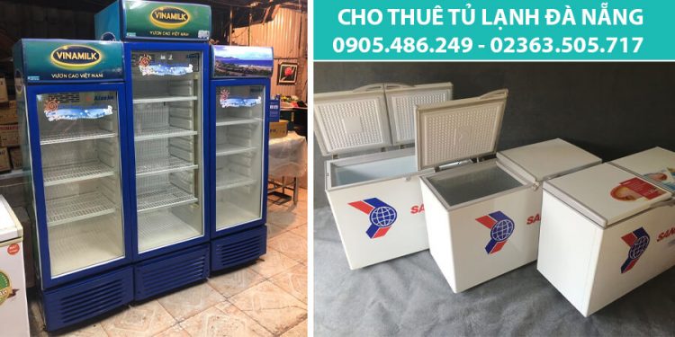 thue tu lanh da nang